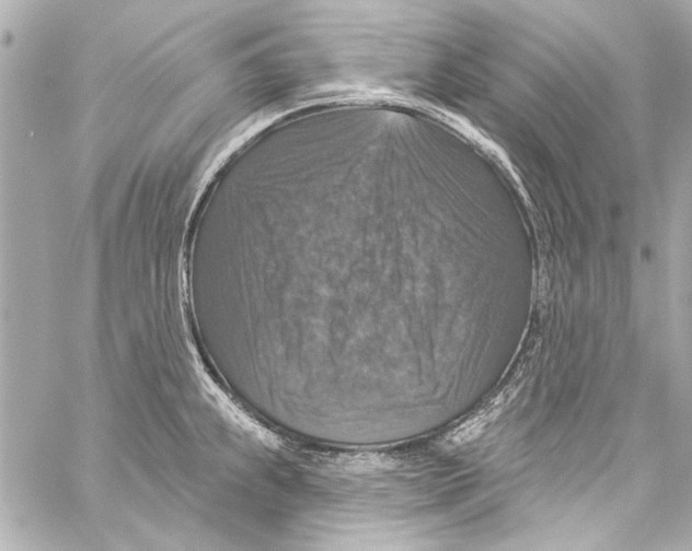 X0000057071239200510071424