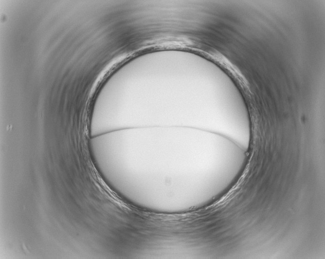 X0000057071240200510071424