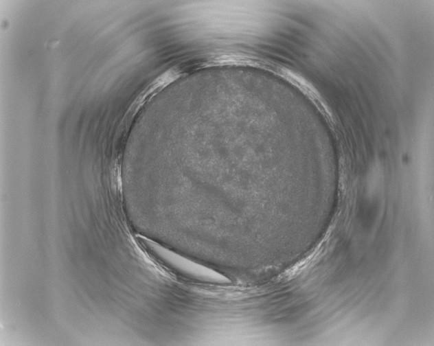 X0000057071241200510071424