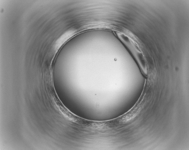 X0000057071242200510071424