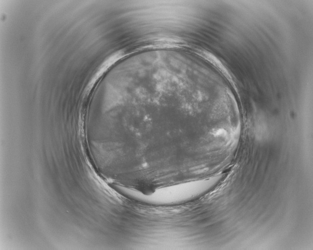 X0000057071243200510071424