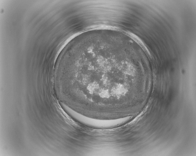 X0000057071244200510071424