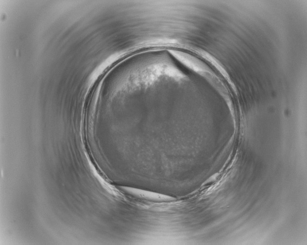 X0000057071245200510071424