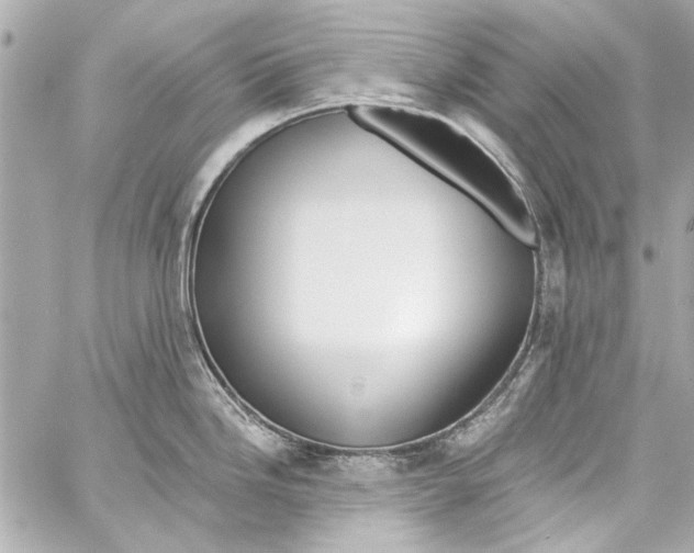 X0000057071246200510071424