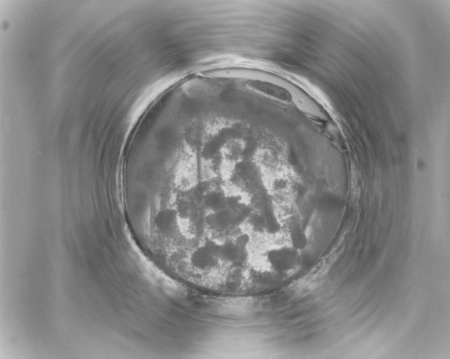 X0000057071247200510071424