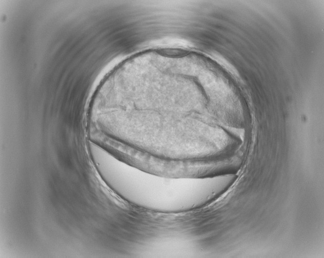 X0000057071248200510071424