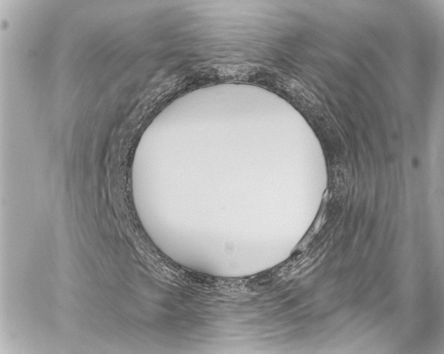 X0000057071249200510071423