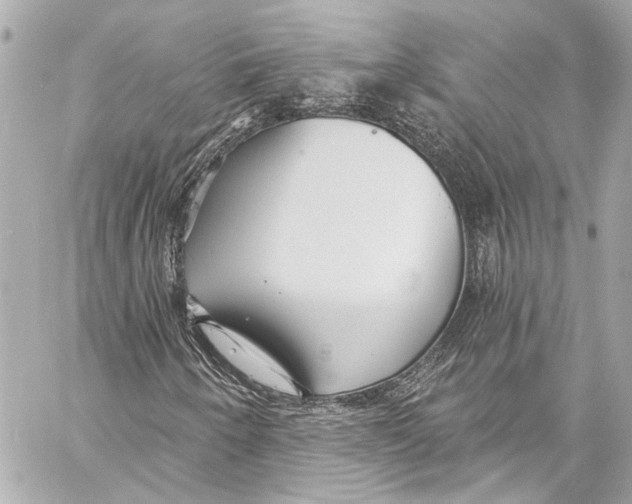 X0000057071250200510071423