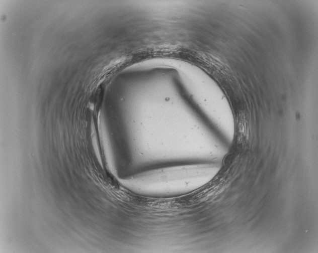 X0000057071252200510071423