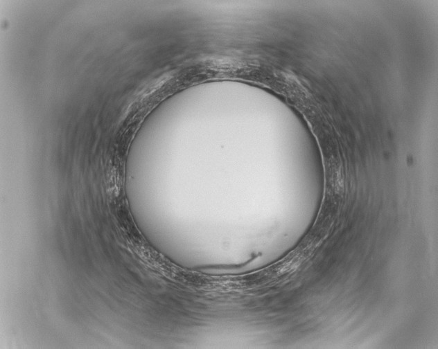 X0000057071253200510071423