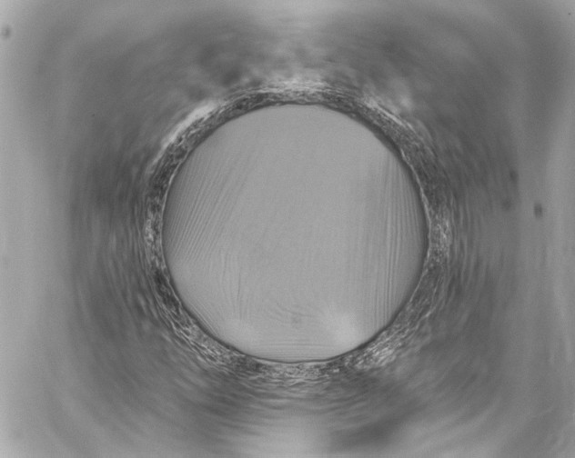 X0000057071254200510071423