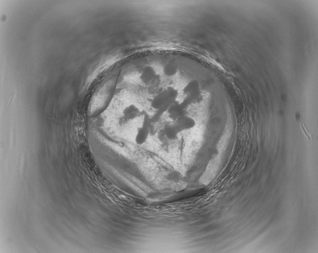 X0000057071255200510071423