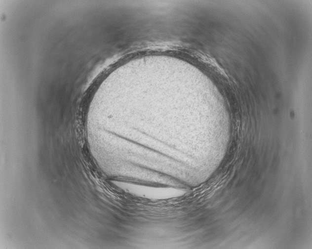 X0000057071256200510071423