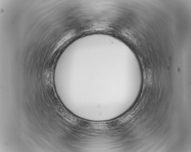 X0000057071258200510071423