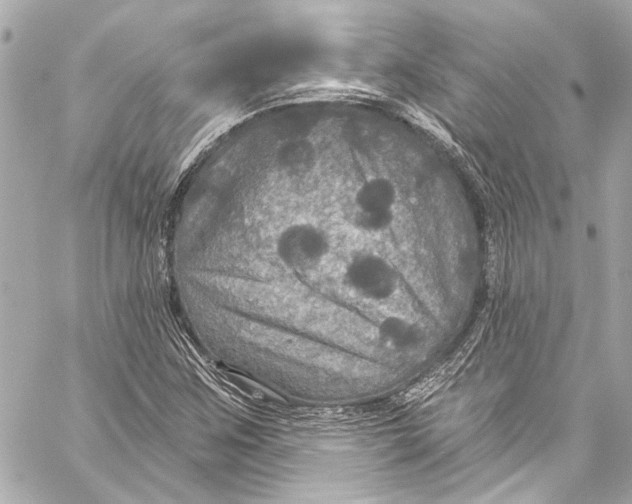 X0000057071259200510071423