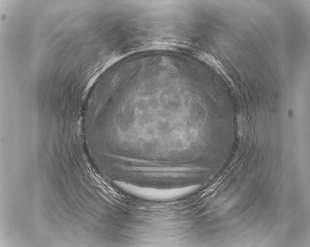 X0000057071260200510071423