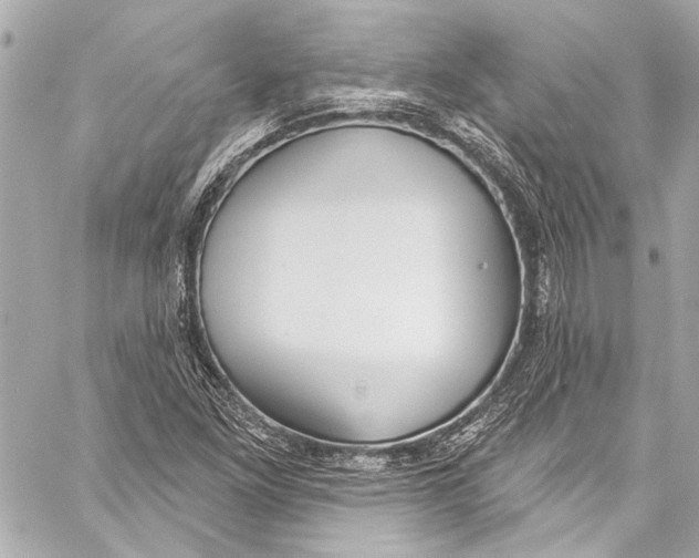 X0000057071261200510071423