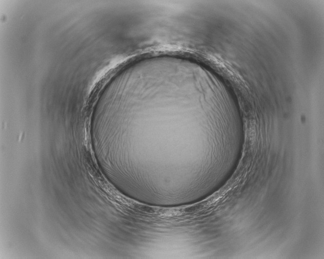 X0000057071262200510071423