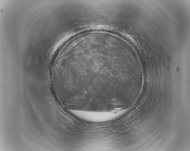 X0000057071263200510071423