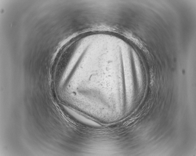 X0000057071264200510071423