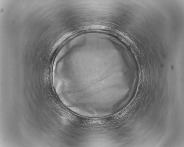 X0000057071266200510071423