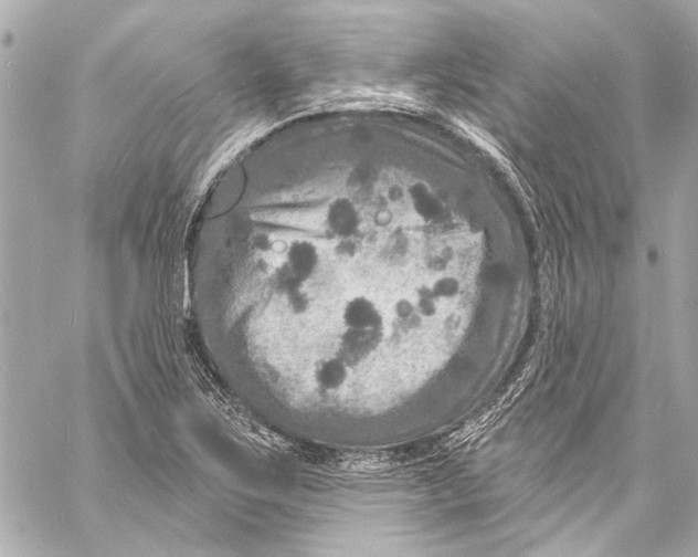 X0000057071267200510071423