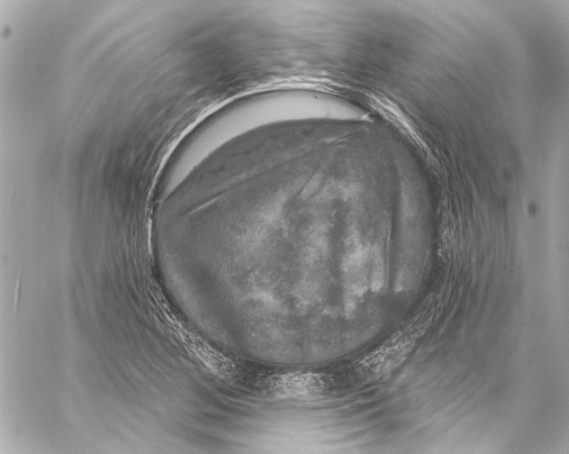 X0000057071268200510071423