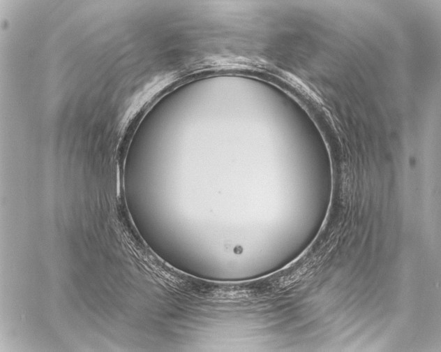 X0000057071269200510071423