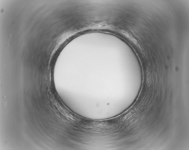 X0000057071270200510071423