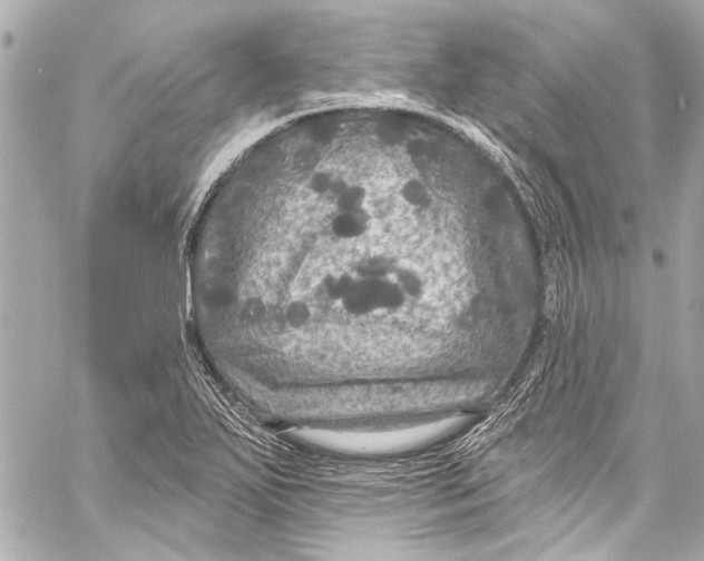 X0000057071271200510071423