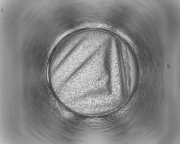 X0000057071272200510071423