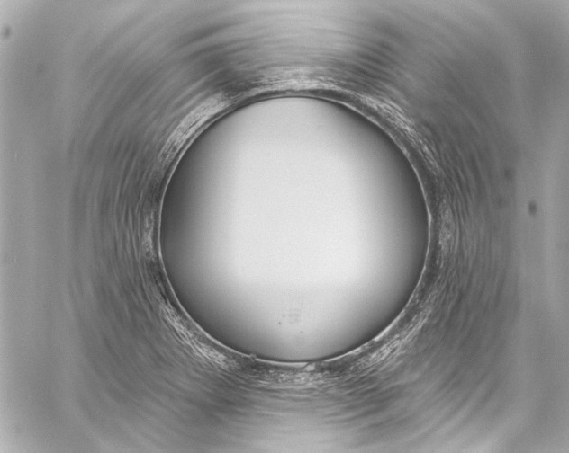 X0000057071273200510071423