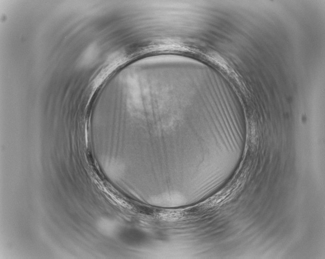 X0000057071274200510071423