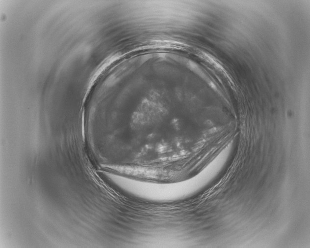 X0000057071275200510071423