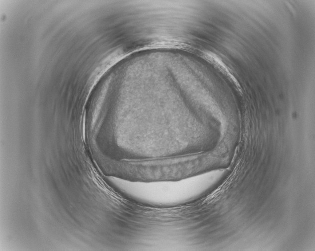 X0000057071276200510071423