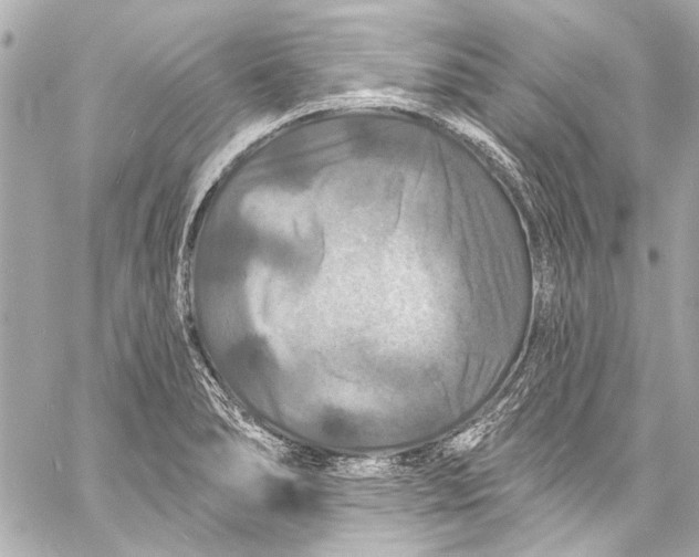 X0000057071278200510071423