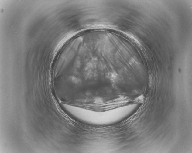 X0000057071279200510071423