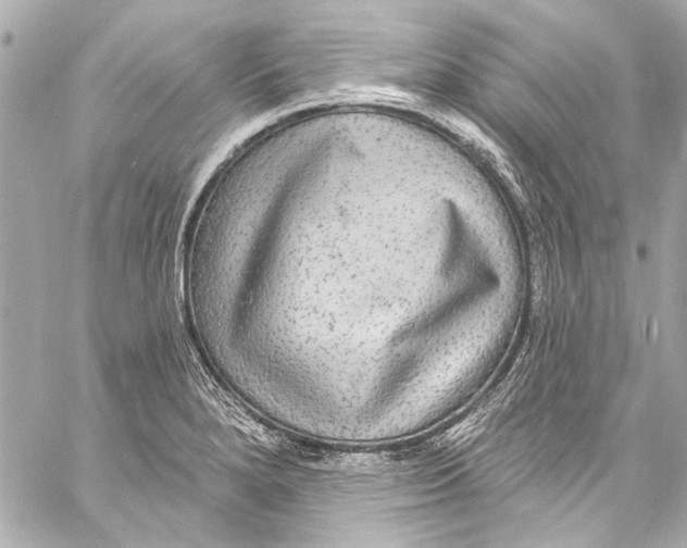 X0000057071280200510071423