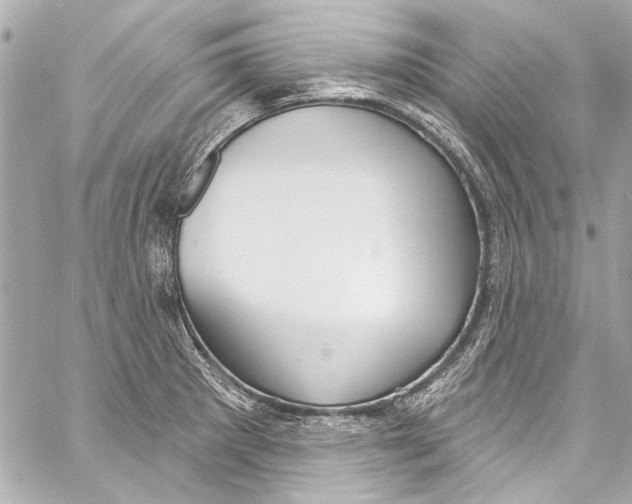 X0000057071281200510071423