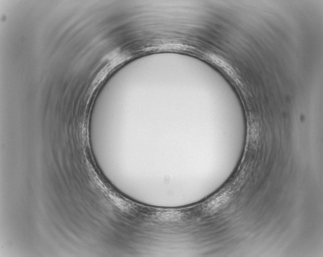 X0000057071282200510071423