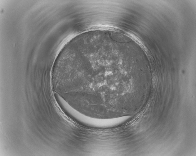 X0000057071283200510071423