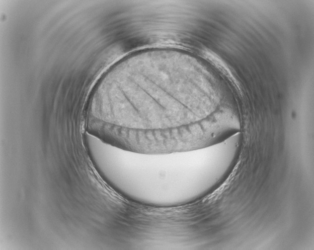 X0000057071284200510071423