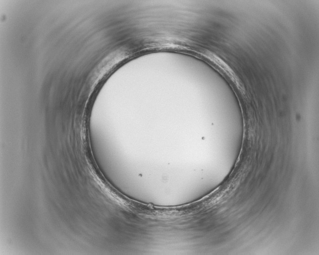 X0000057071285200510071423