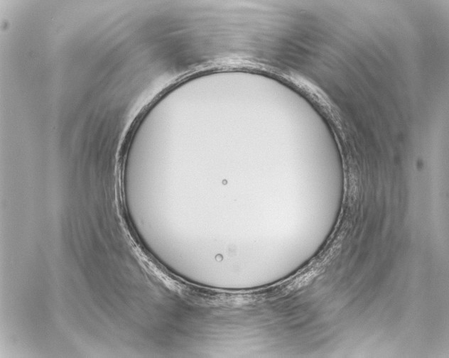 X0000057071286200510071423