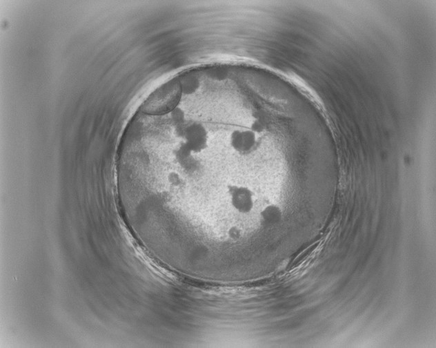 X0000057071287200510071423