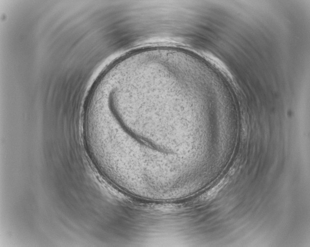 X0000057071288200510071423