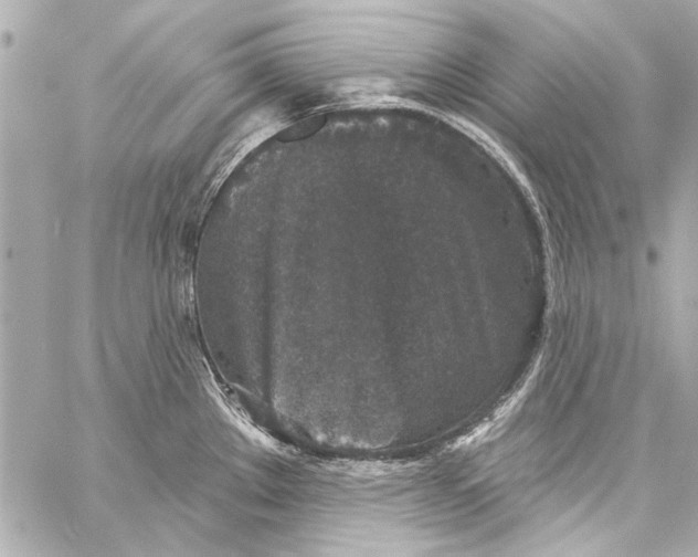 X0000057071289200510071423