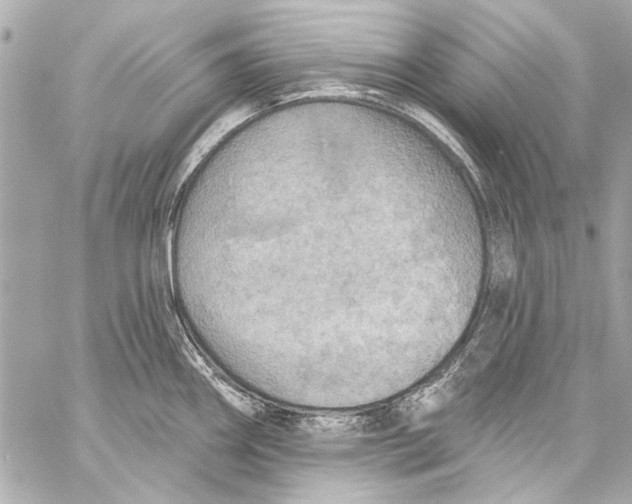 X0000057071290200510071423