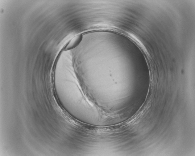 X0000057071291200510071423