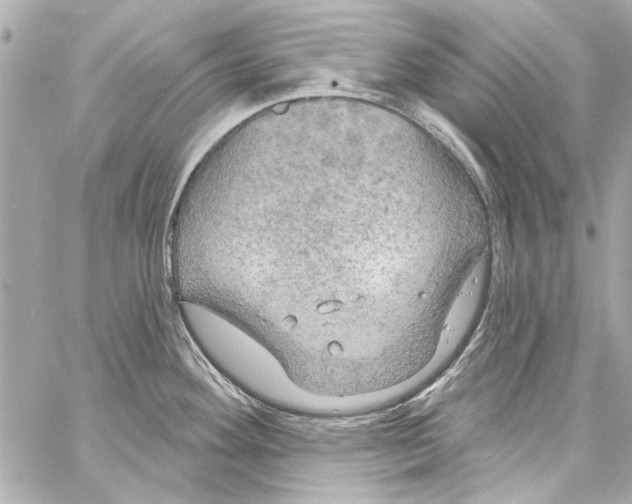 X0000057071292200510071423